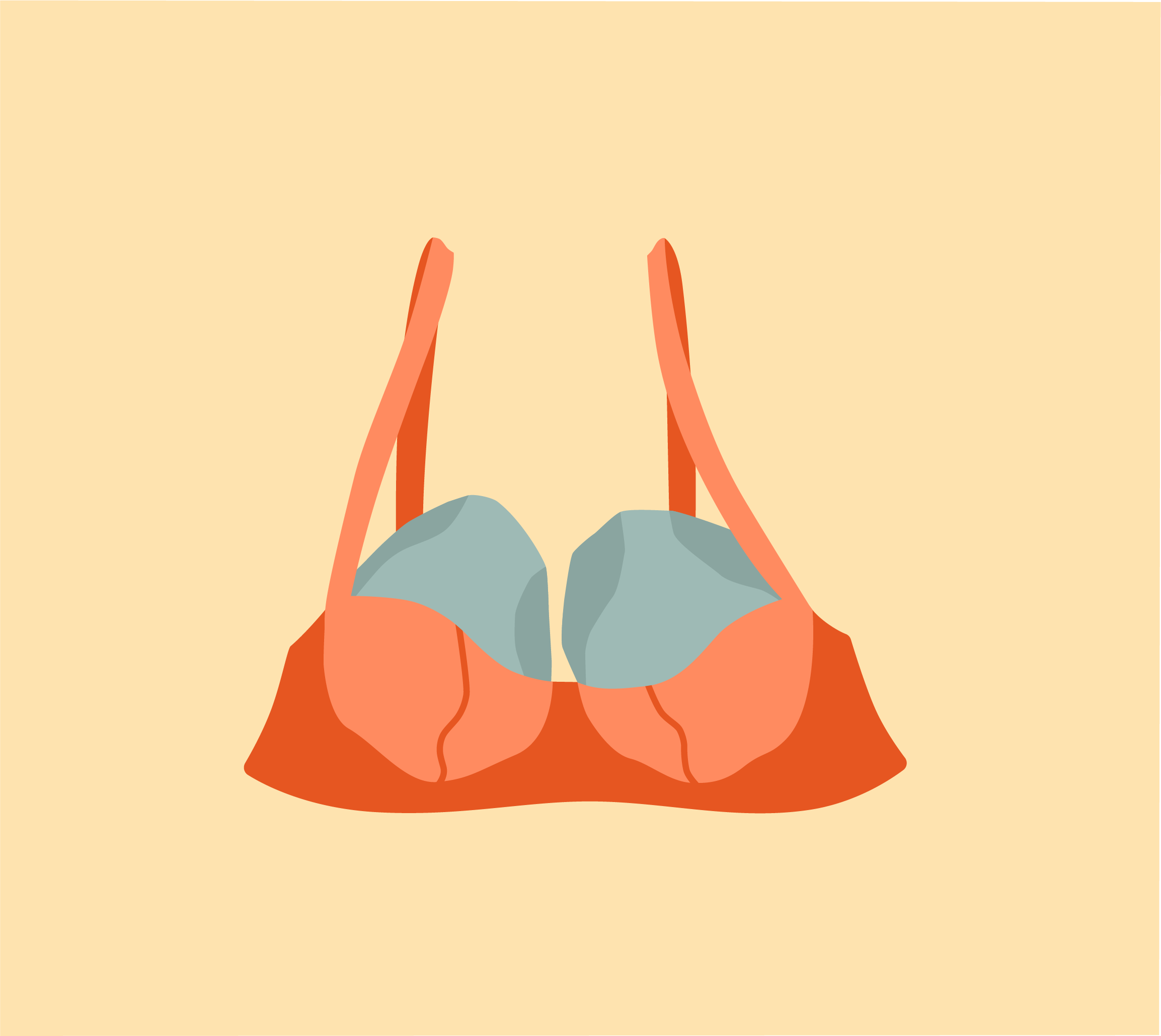 How to wear a bra?  How to wear, Instagram feed ideas, Bra