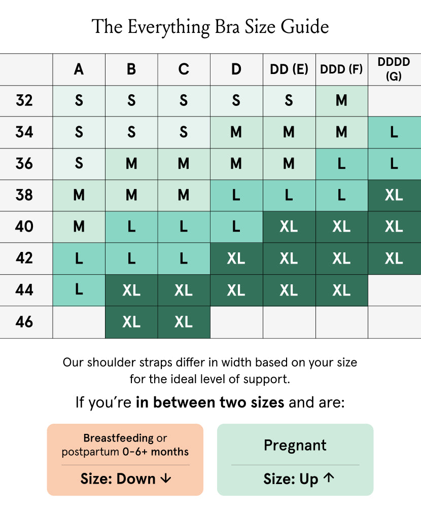 Bras size guide with color-coded sizes on a green background.  ize guide comes in black, clay,lavender haze, grey marl, himalaya